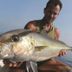 기타