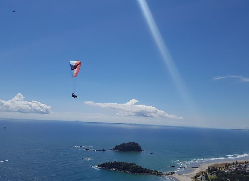 기타 사진