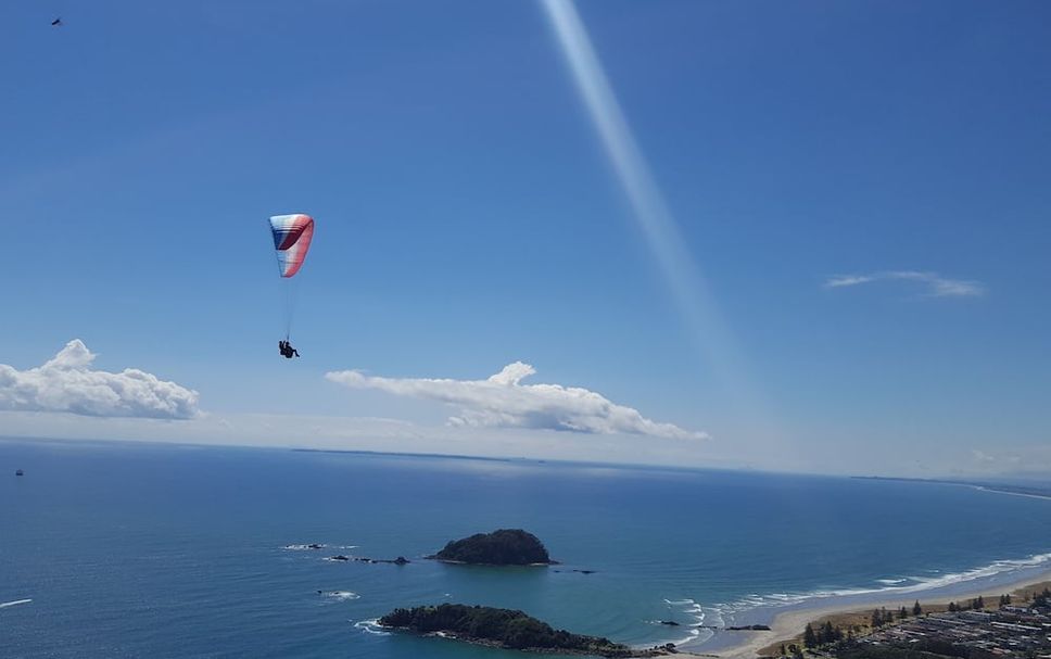 기타 사진