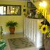 기타