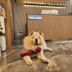 프론트 데스크