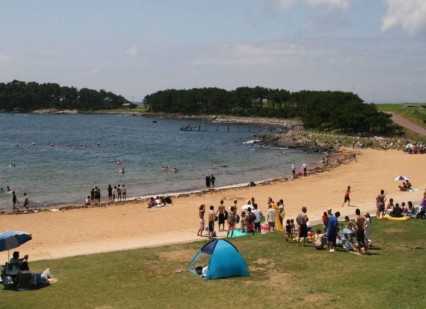 해변 사진