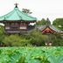 야외뷰