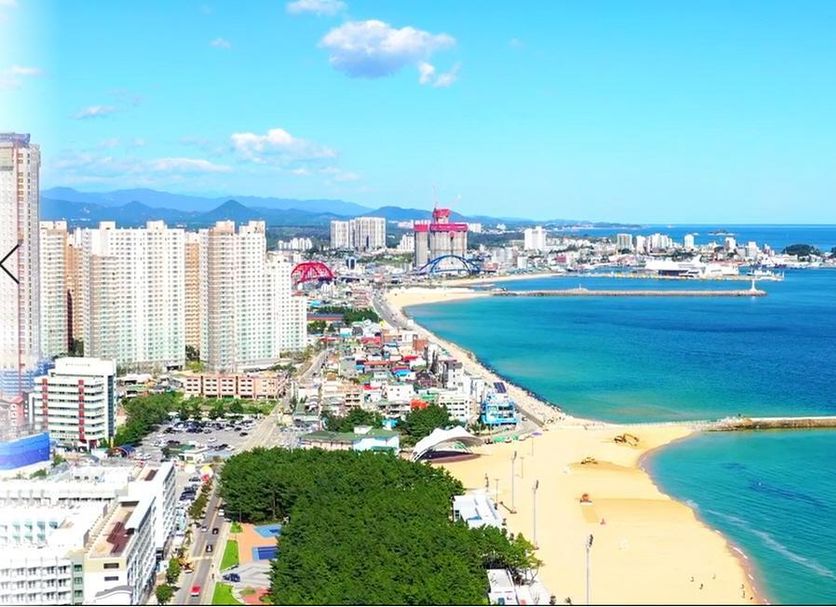 해변 사진