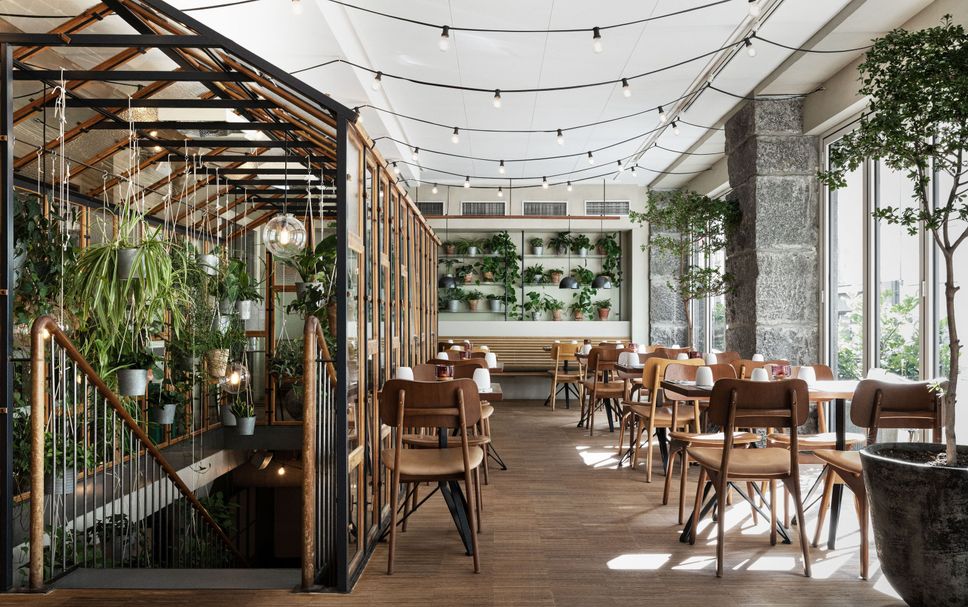 레스토랑 사진