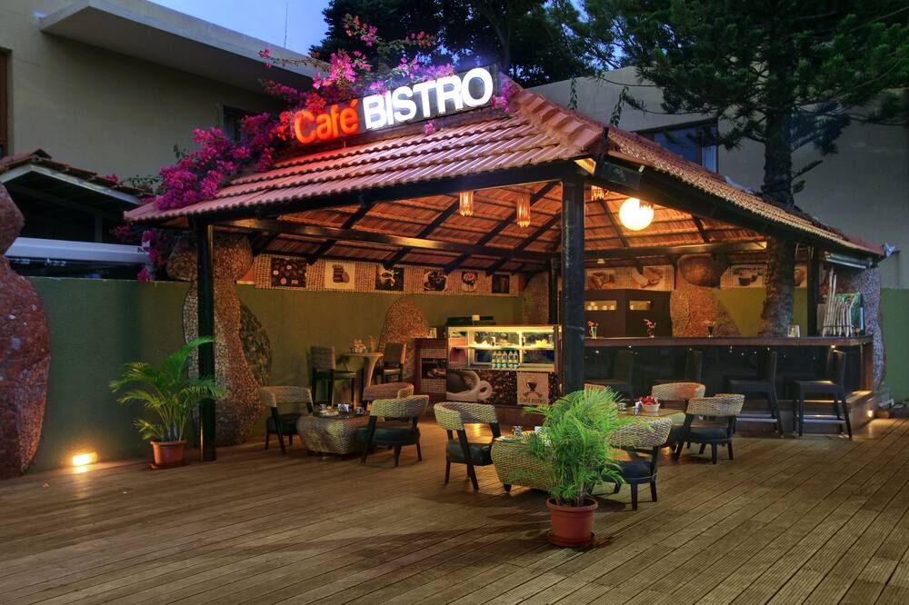 파티오