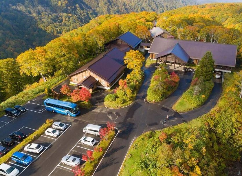 기타 사진