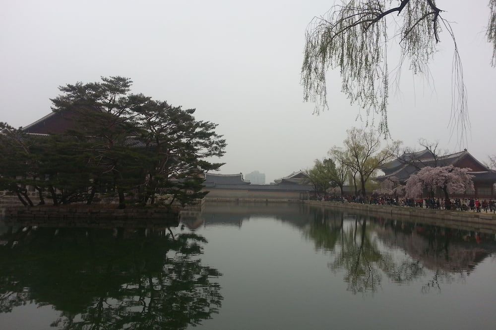 야외뷰