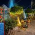 기타
