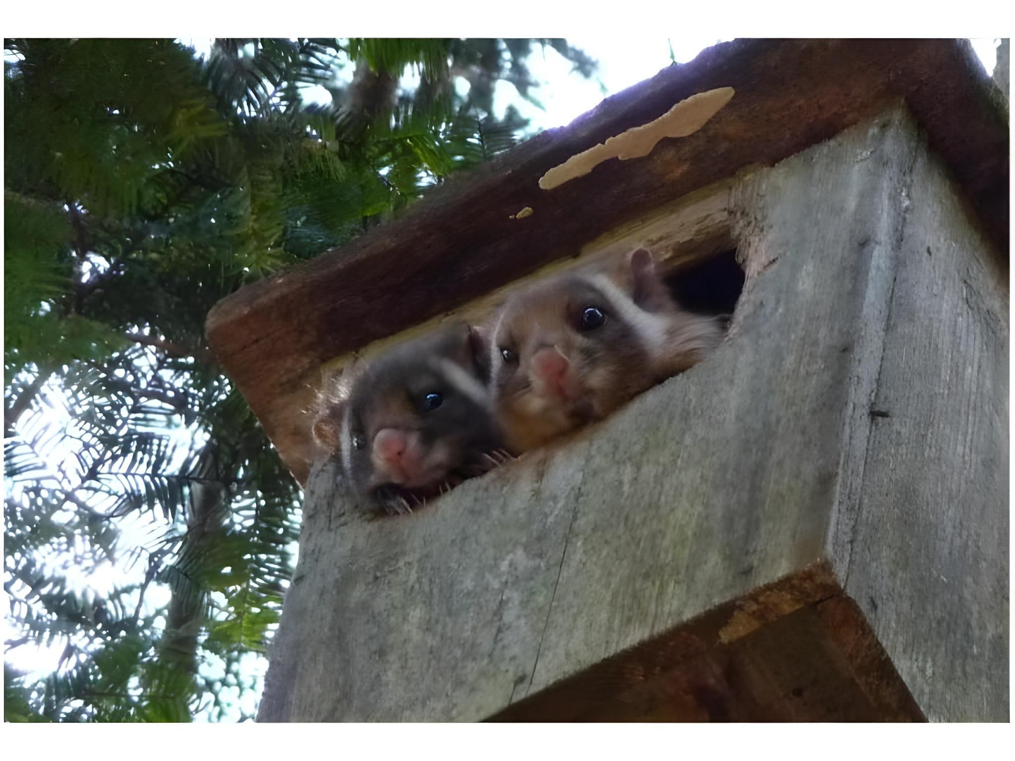 기타