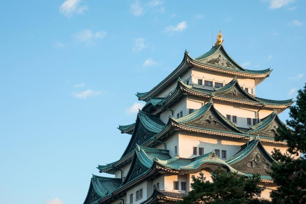 기타