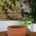 기타