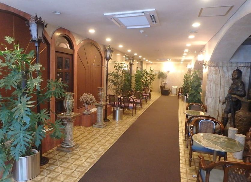기타 사진