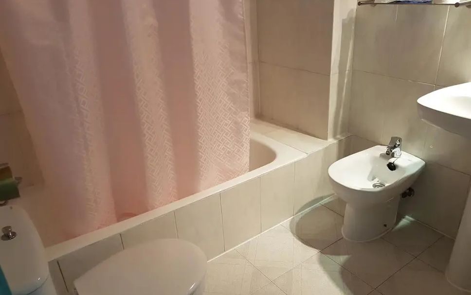 기타 사진