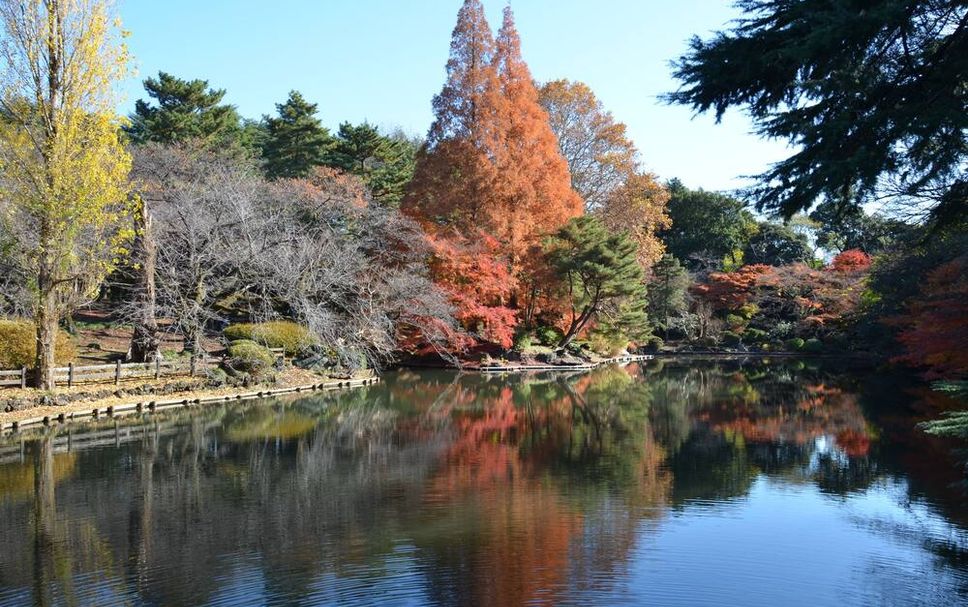 야외뷰 사진