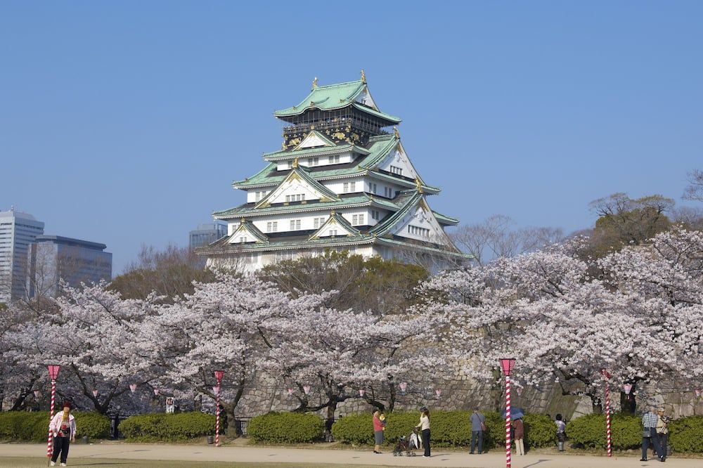 기타