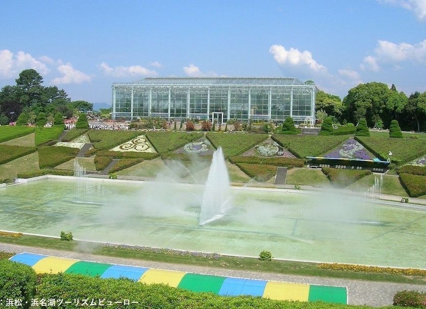 기타 사진