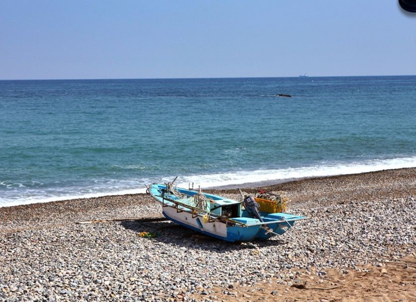 해변 사진