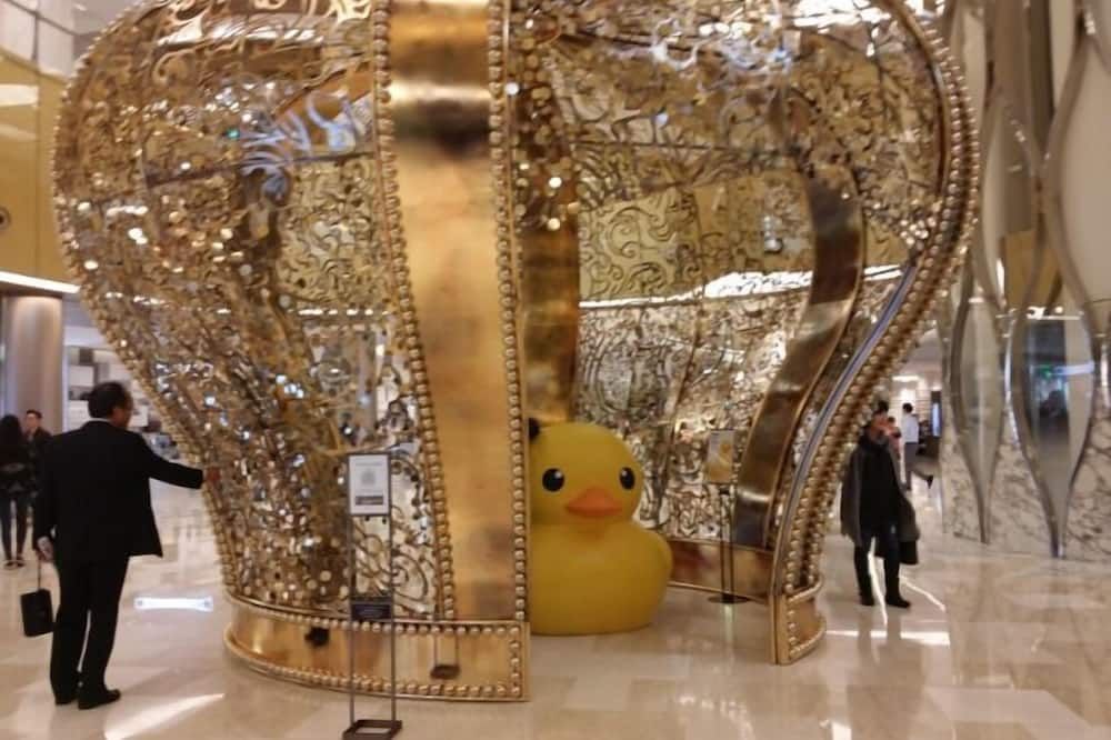 기타 사진