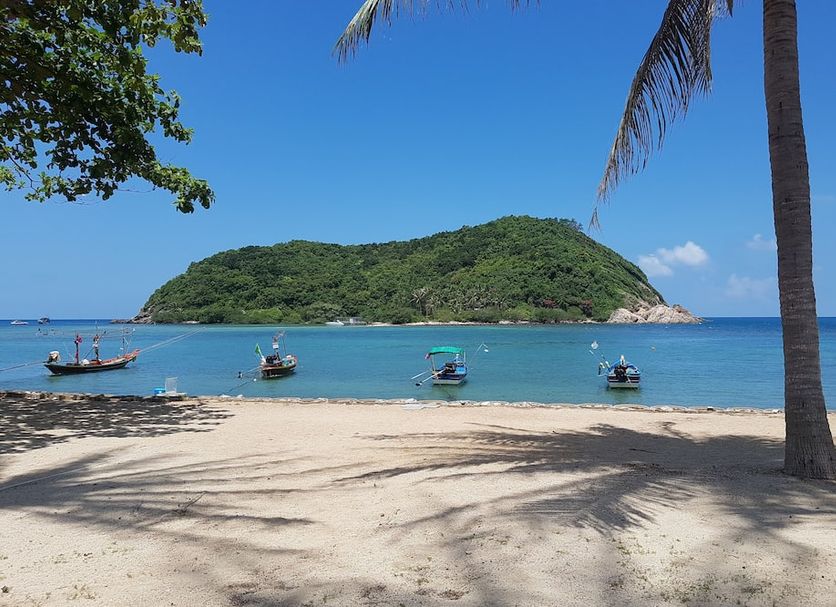 해변 사진