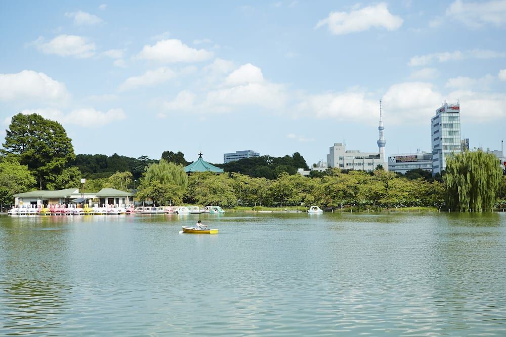 야외뷰 사진