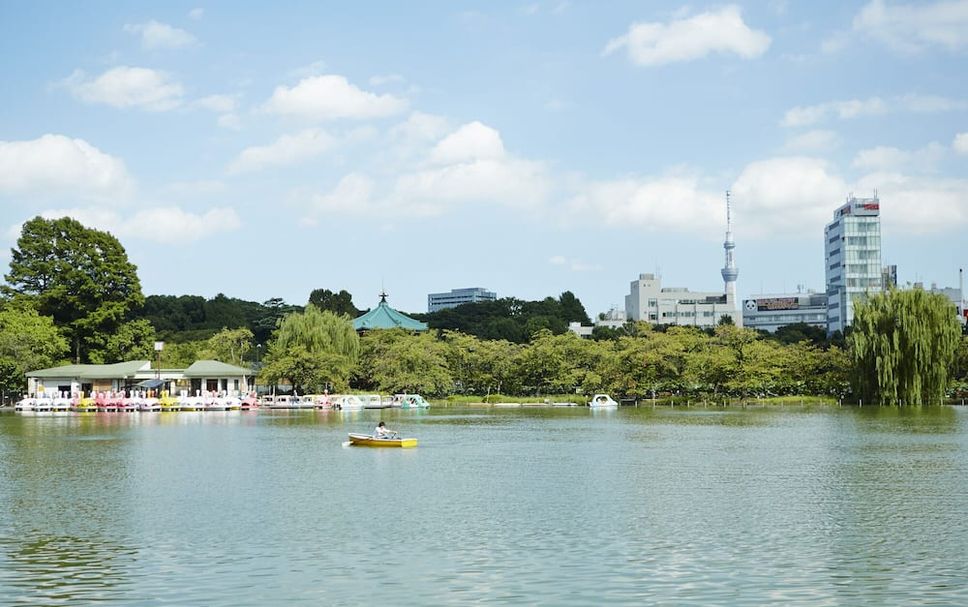 야외뷰 사진
