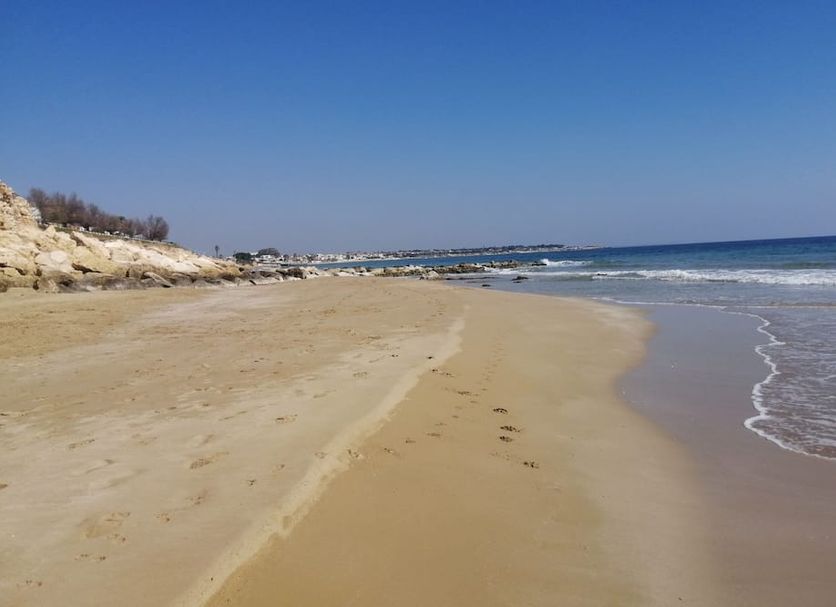 해변 사진
