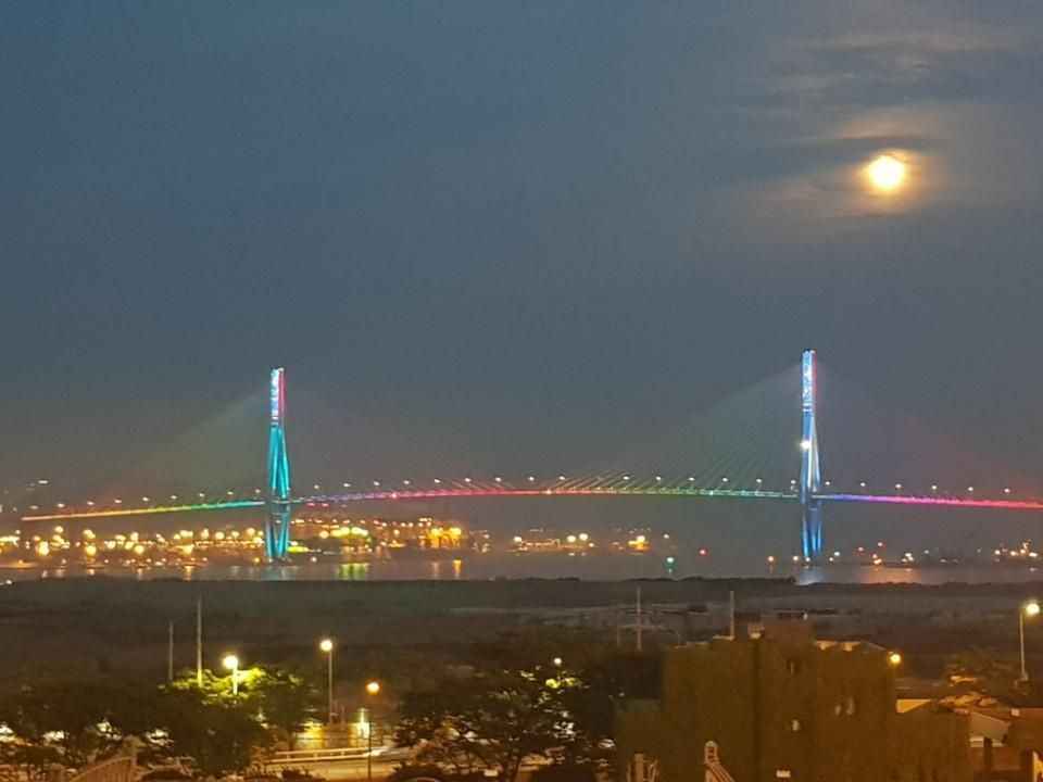기타