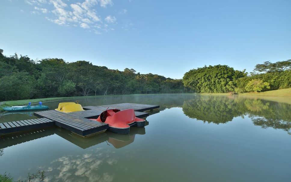 기타 사진