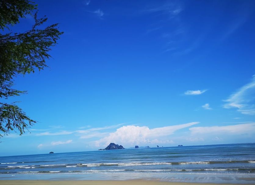 해변 사진