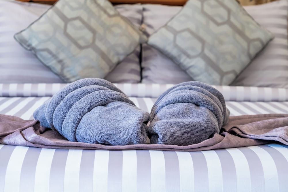 기타