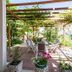 파티오