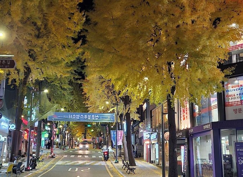 야외뷰 사진