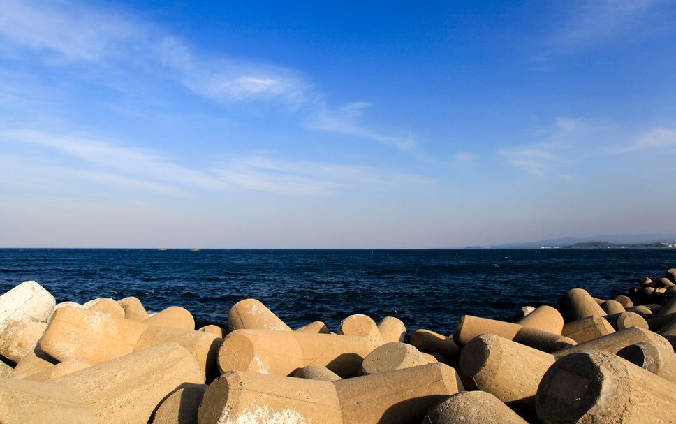해변 사진
