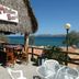 기타