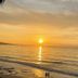 기타