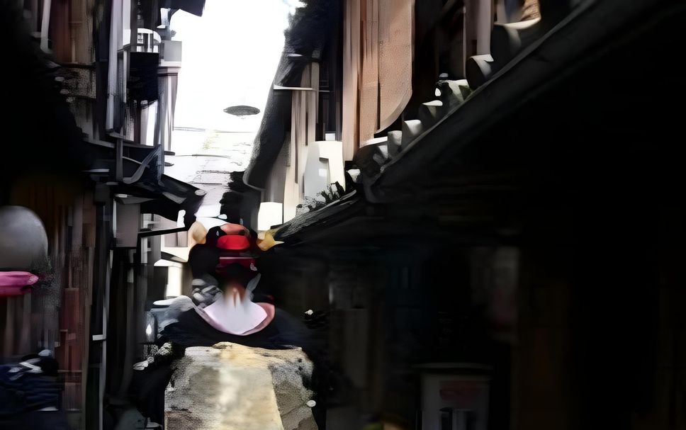 건물 사진