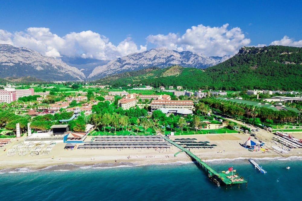 기타