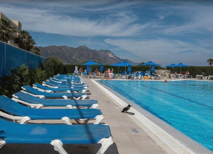 수영장 사진