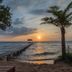 기타