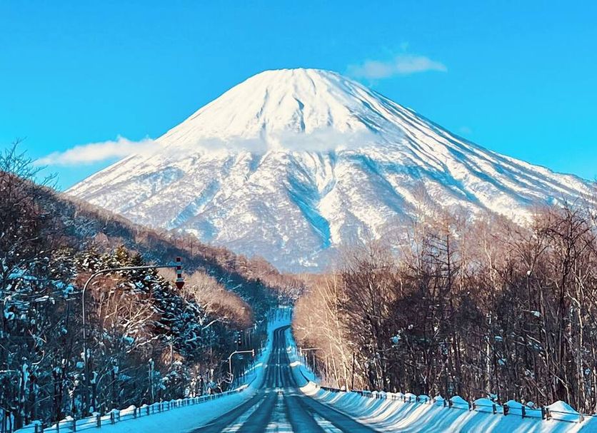 기타 사진