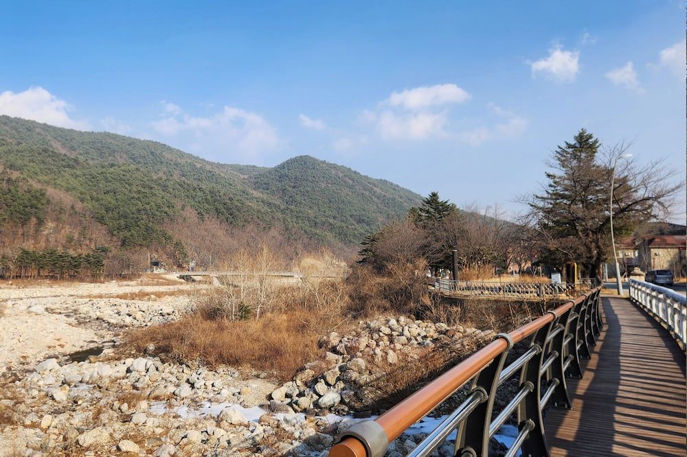 기타