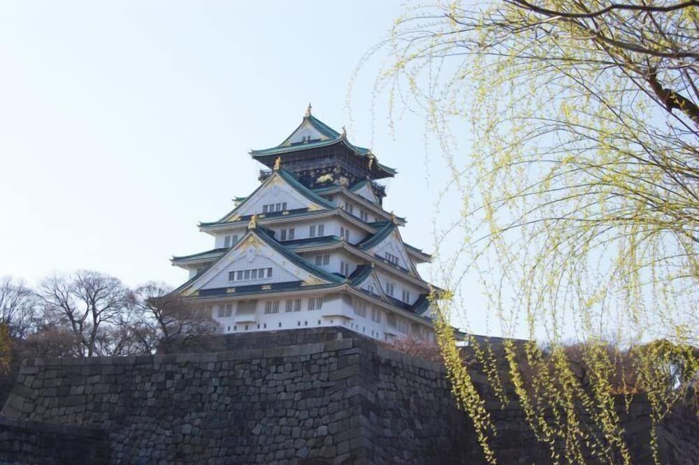 기타