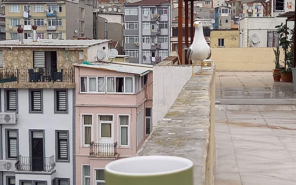 야외뷰 사진
