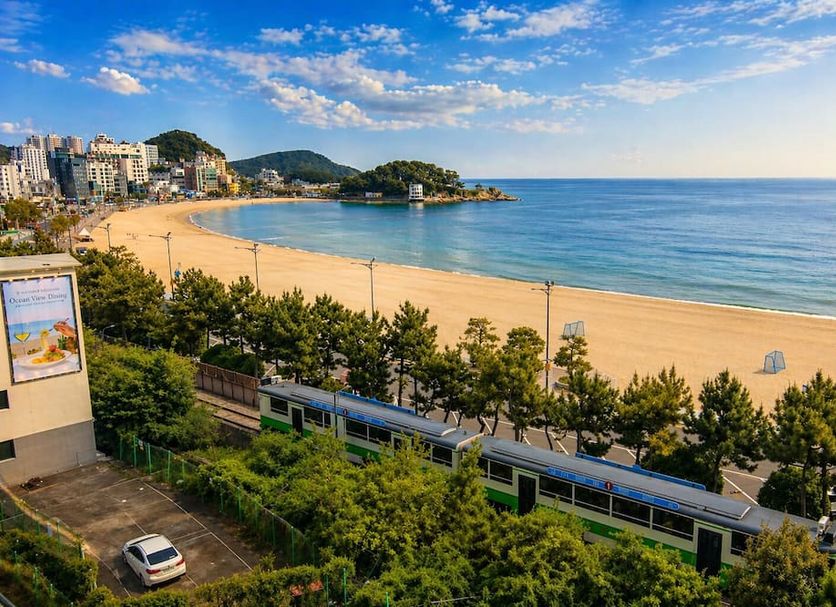 해변 사진