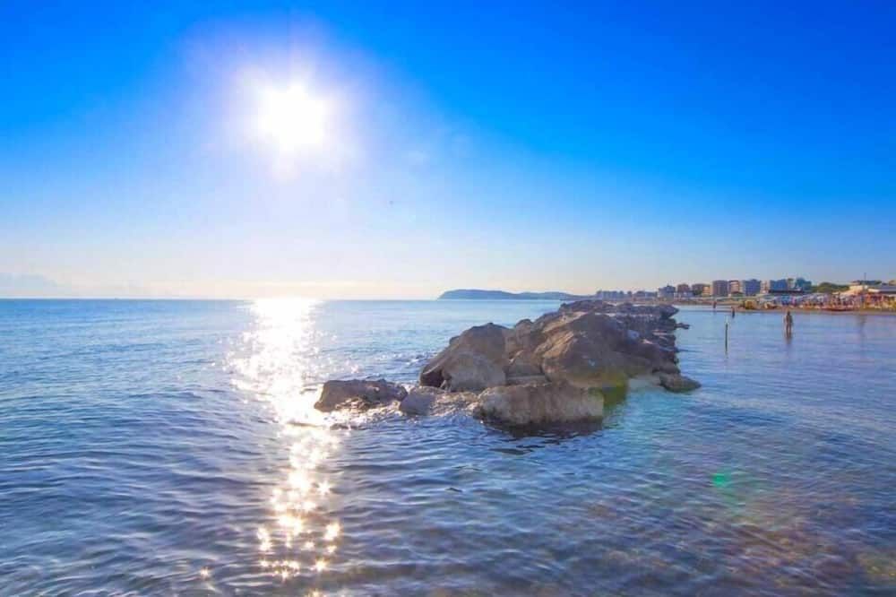 기타 사진