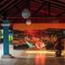 기타