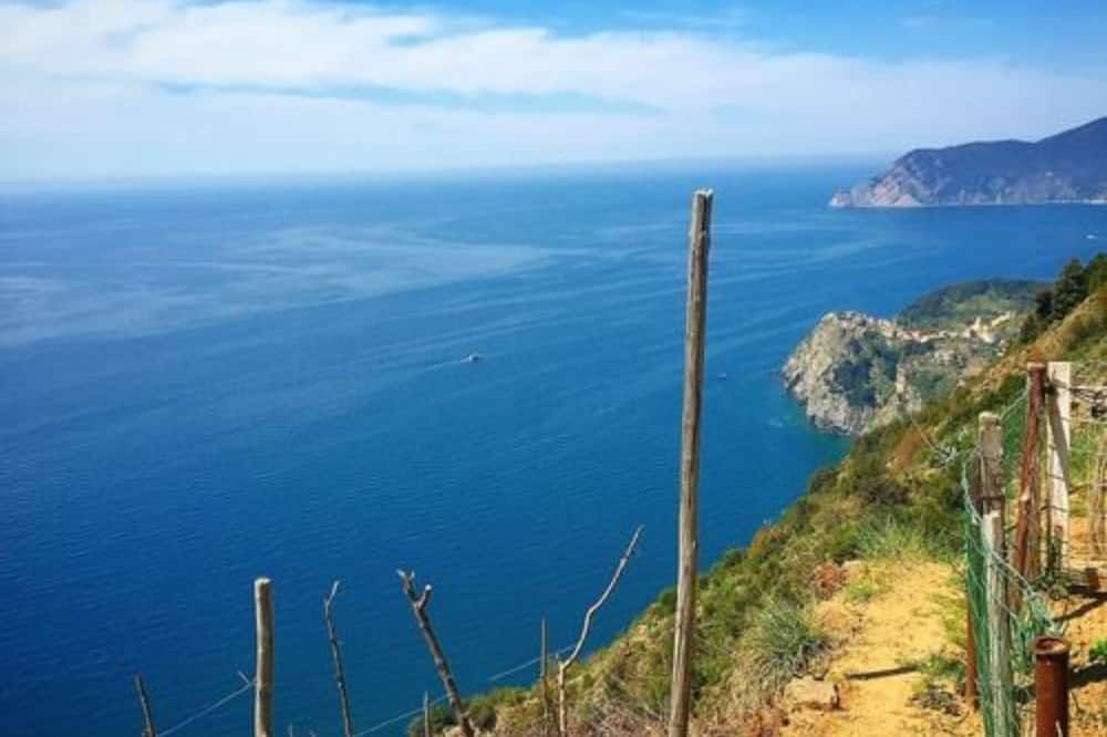 기타