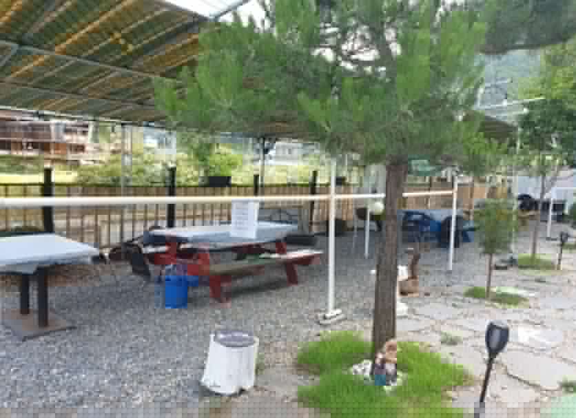 파티오 사진