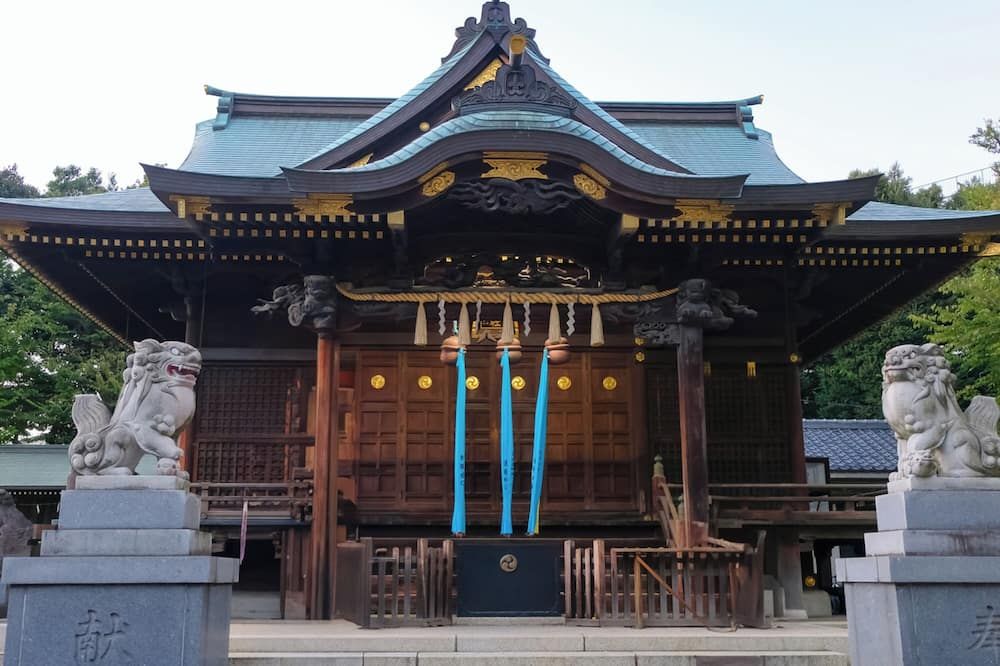 기타